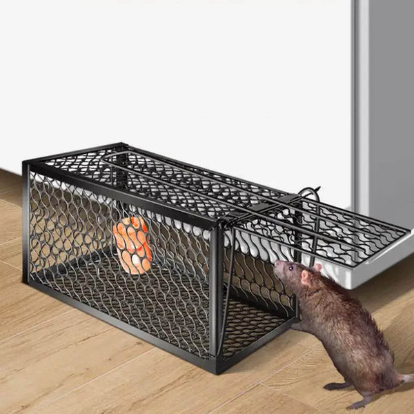 Foldable Live Mouse Trap – Easy Catch & Release Cage for Mice, Squirrels, Voles & Hamsters - dailyneed.life