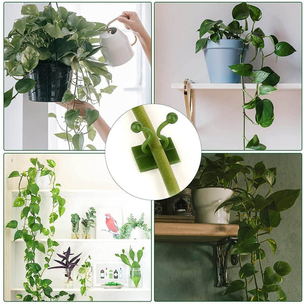 Plant Climbing Wall Clips Self-Adhesive Money Plant Support Clips Vine Plant Climbing Fixing Clip (10 Pcs Set) - dailyneed.life