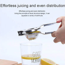 Lemon Squeezer Steel Polish - dailyneed.life