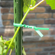 Plastic Twist Tie Wire Spool With Cutter For Garden Yard Plant 30m (Green) - dailyneed.life