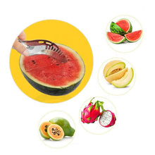 Stainless Steel Watermelon Cantaloupe Slicer Knife, Corer Fruit, Vegetable Tools Kitchen - dailyneed.life