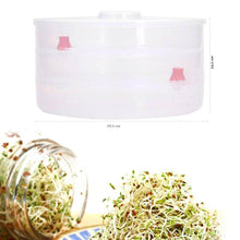 Plastic 3 Compartment Sprout Maker, White - dailyneed.life
