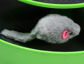 Cat Interactive Toy (Cat Scratching Pad) - dailyneed.life