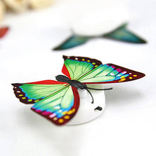 The Butterfly 3D Night Lamp Comes with 3D Illusion Design Suitable for Drawing Room, Lobby. - dailyneed.life