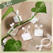 wall Plant Climbing Clip widely used for holding plants and poultry purposes and all (30 Pcs Set) - dailyneed.life