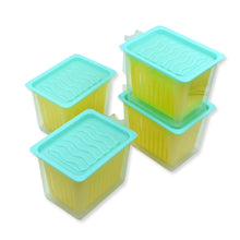 Fridge Storage Containers with Handle Plastic Storage Container for Kitchen(4 Pcs Set) - dailyneed.life