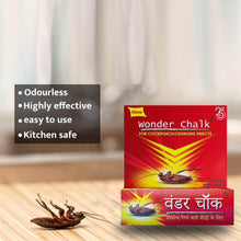 Strong Cockroach Chalk Cockroach Killer Insecticide Repellent Insect Control wonder chalk - - dailyneed.life