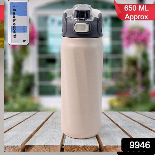 Stainless Steel Insulated Vacuum Bottle (680ml Approx) - dailyneed.life