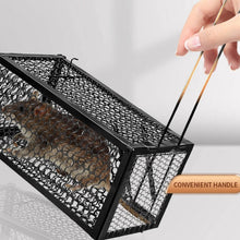 Foldable Live Mouse Trap – Easy Catch & Release Cage for Mice, Squirrels, Voles & Hamsters - dailyneed.life