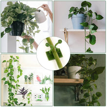 30pcs wall Plant Climbing Clip widely used for holding plants and poultry purposes and all (Box/30 Pcs Set) - dailyneed.life