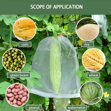 Protective Garden Barrier Cover for Bag, Plants, Grapes, Figs, Flowers, and Vegetables - dailyneed.life