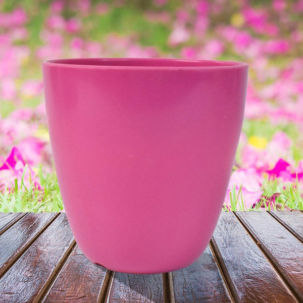 Plastic Flower Valencia (Pot) Home and Outdoor (1 Pc/Mix Colour) - dailyneed.life