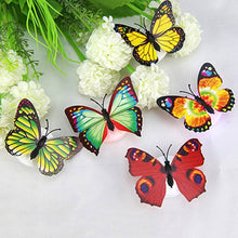 The Butterfly 3D Night Lamp Comes with 3D Illusion Design Suitable for Drawing Room, Lobby. - dailyneed.life