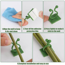 Plant Climbing Wall Clips Self-Adhesive Money Plant Support Clips Vine Plant Climbing Fixing Clip (10 Pcs Set) - dailyneed.life