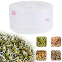 Plastic 3 Compartment Sprout Maker, White - dailyneed.life