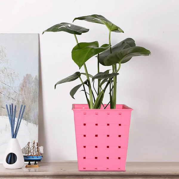 Square Single Plant Railing Dotted Planters - dailyneed.life
