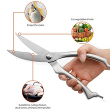 Heavy Duty Stainless Steel Poultry Shears, Premium Ultra Sharp Spring-Loaded Kitchen - dailyneed.life