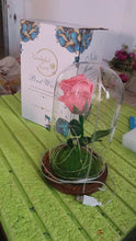 Glass Flower with Led Light Great Gift (1 Set) - dailyneed.life