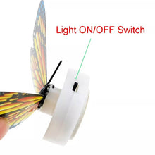The Butterfly 3D Night Lamp Comes with 3D Illusion Design Suitable for Drawing Room, Lobby. - dailyneed.life