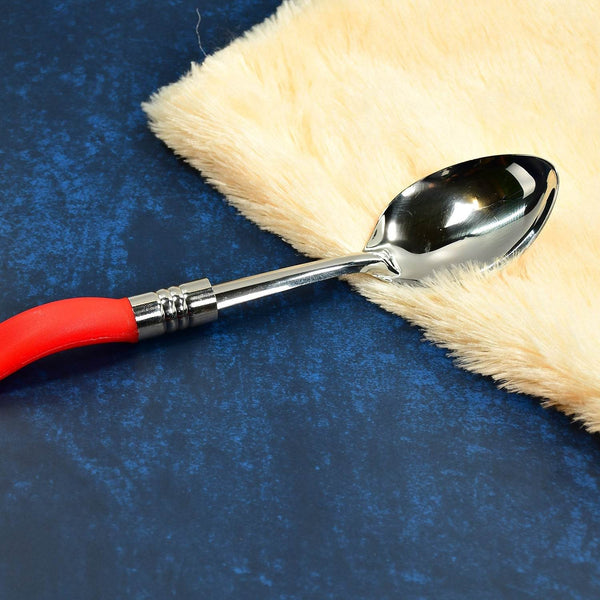 Stainless Steel Serving Spoon with plastic handle - dailyneed.life