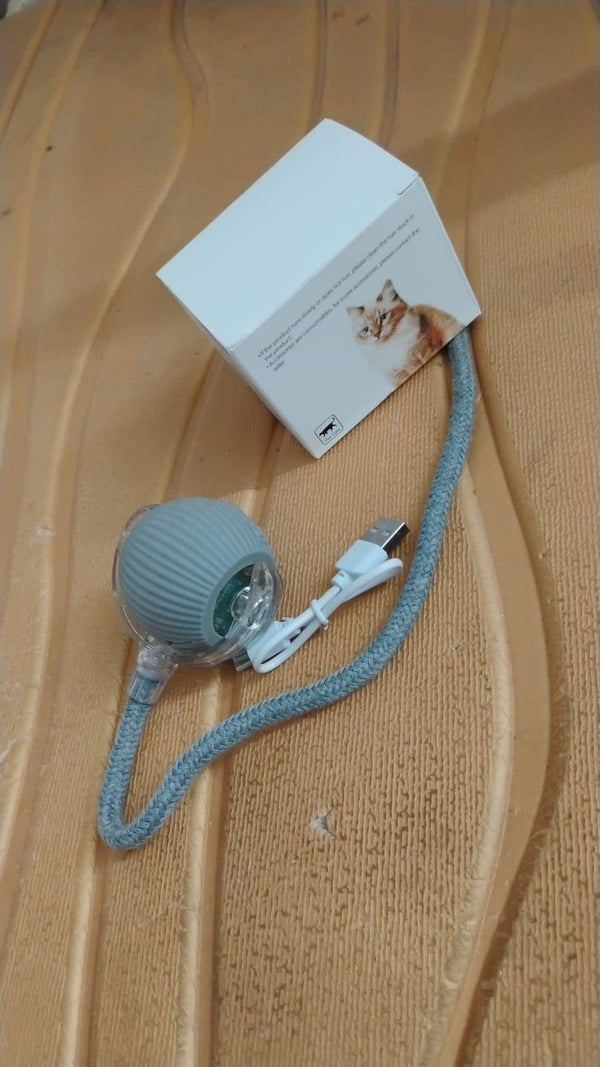 Rechargeable Interactive Cat Toy Ball with Detachable Braided Tail and LED Light (1 Pc) - dailyneed.life