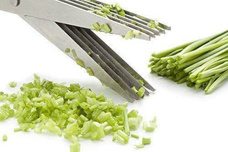 Stainless Steel 5-Blade Herb Scissors - dailyneed.life