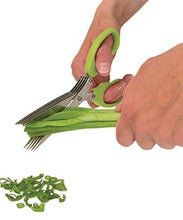 MULTIFUNCTION VEGETABLE STAINLESS STEEL HERBS SCISSOR WITH 5 BLADES - dailyneed.life