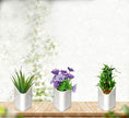 Plastic Vertical Hanging Planter Pot, Multicolour, - dailyneed.life
