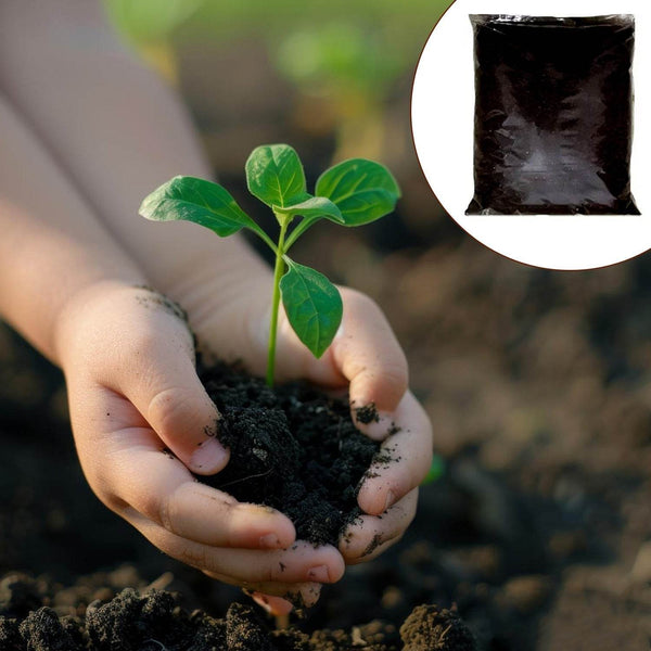 Organic Vermicompost Black Soil for Plants Health Manure (1 KG Approx) - dailyneed.life