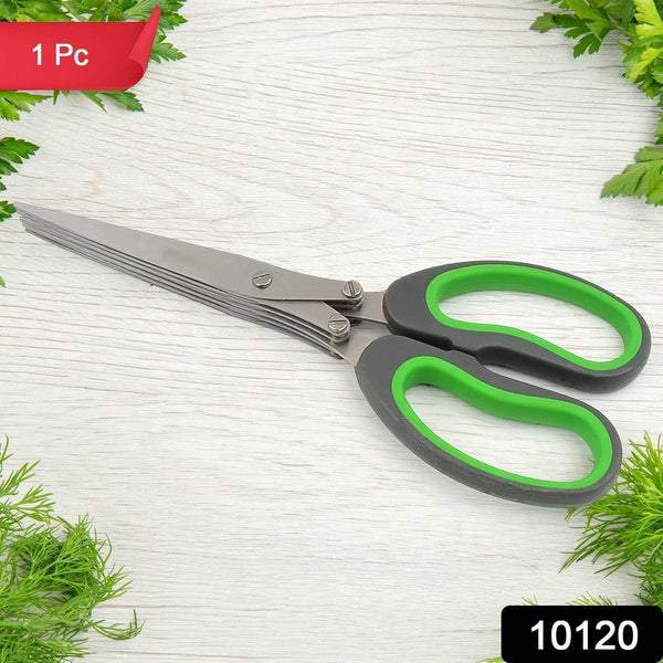 Multifunction Vegetable Stainless Steel Herbs Scissor with 5 Blades (1 Pc) - dailyneed.life