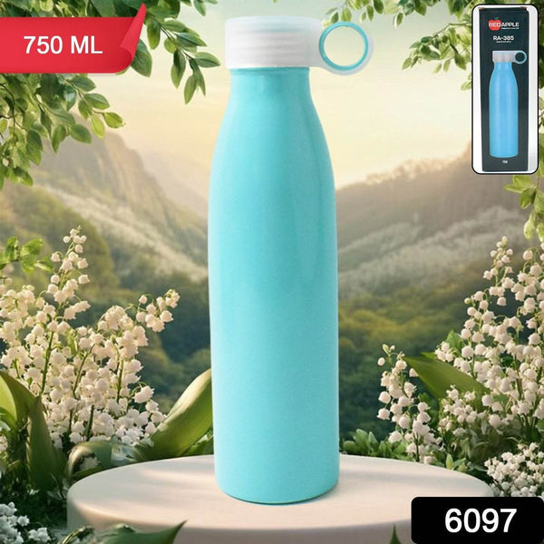 Stainless Steel Water Bottle (750 ML / 1 Pc) - dailyneed.life