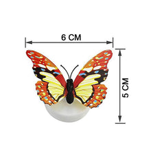 The Butterfly 3D Night Lamp Comes with 3D Illusion Design Suitable for Drawing Room, Lobby. - dailyneed.life