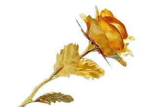 24K Artificial Golden Rose / Gold Red Rose with Gift Box (10 inches) - dailyneed.life