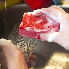 Multi-Purpose Multi Color Scratch Scrub Sponges (10 Pcs Set) - dailyneed.life