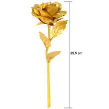 B Golden Rose is perfect for decorating homes, offices, cafes - dailyneed.life