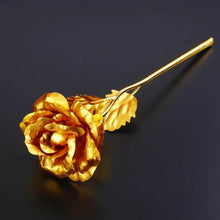 Golden Rose & Necklace Set Perfect Gift Set - dailyneed.life