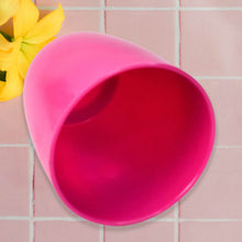 Plastic Flower Valencia (Pot) Home and Outdoor (1 Pc/Mix Colour) - dailyneed.life