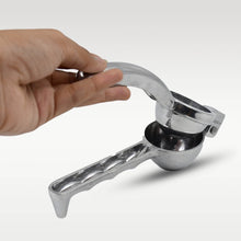 Lemon Squeezer Steel Polish - dailyneed.life