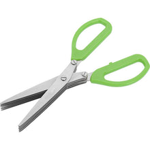 Stainless Steel 5-Blade Herb Scissors - dailyneed.life