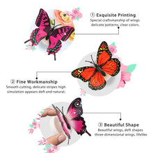 The Butterfly 3D Night Lamp Comes with 3D Illusion Design Suitable for Drawing Room, Lobby. - dailyneed.life