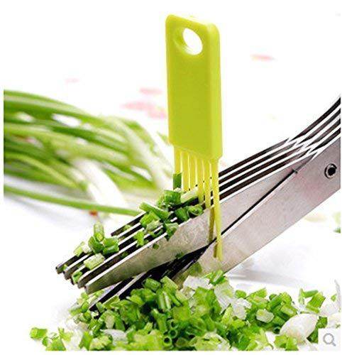 Stainless Steel 5-Blade Herb Scissors - dailyneed.life