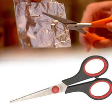 Scissor Set (2 pcs) - dailyneed.life