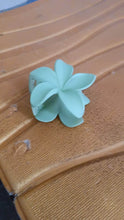 Matte Finish Hair Claw Clip (1 Pc / Mix Color) - dailyneed.life