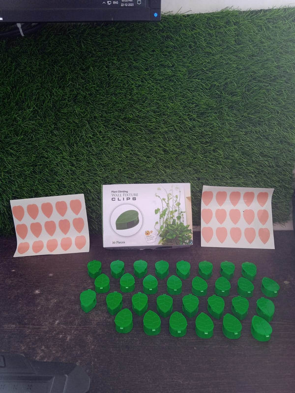 Plant Climbing Wall Fixture Clip Self-Adhesive Hook Vines Traction Invisible Stand Green Plant Clip Garden Wall Clip Plant Support Binding Clip Plants for Indoor Outdoor Decoration (30 Pcs Set) - dailyneed.life