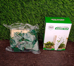 30pcs wall Plant Climbing Clip widely used for holding plants and poultry purposes and all (Box/30 Pcs Set) - dailyneed.life
