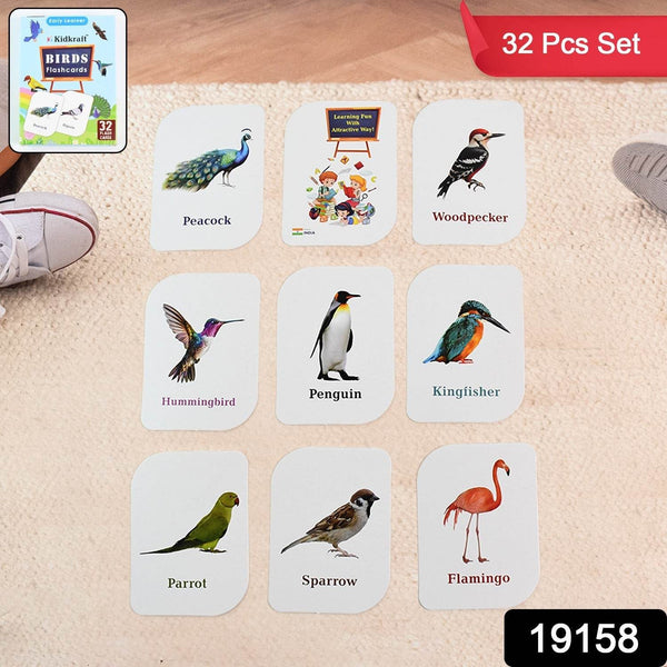 KidKraft Early Learner Educational Flashcards – 32 Birds - dailyneed.life