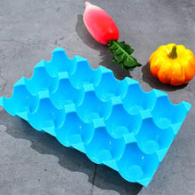 15 Cavity Plastic Egg Tray Egg Trays for Storage with 15 Eggs Holder (4 Pc Set) - dailyneed.life