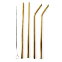 Reusable Stainless Steel Straw with cleaning Brush (5 Pcs Set) - dailyneed.life