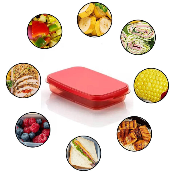 Seal Rectangular 2 Containers Lunch Box - dailyneed.life