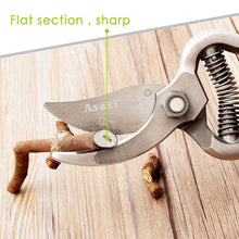 Garden Shears Pruners Scissor, flower cutter (8 inch) - dailyneed.life